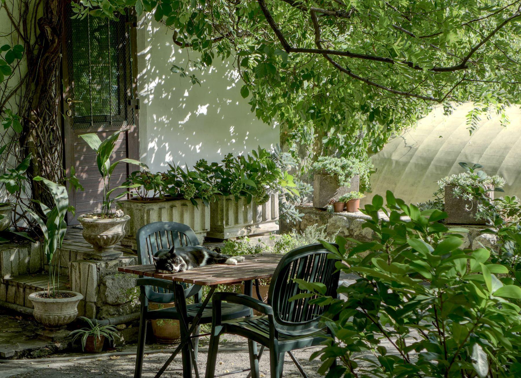 The Essentials of Choosing Your Ideal Garden Space