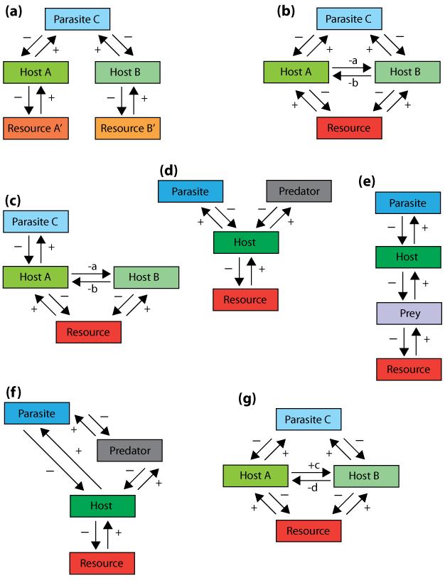 Understanding the Intricate Connections Among Species