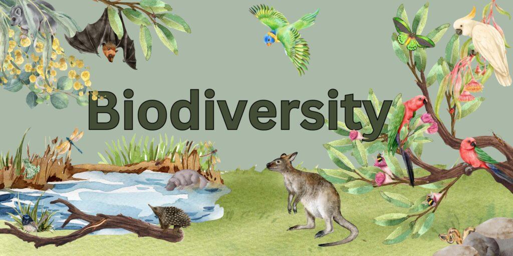 Biodiversity at Risk: The Silent Crisis in Our Cities