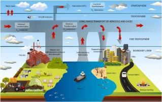 Understanding the Impact of ​Pollution on Marine Ecosystems