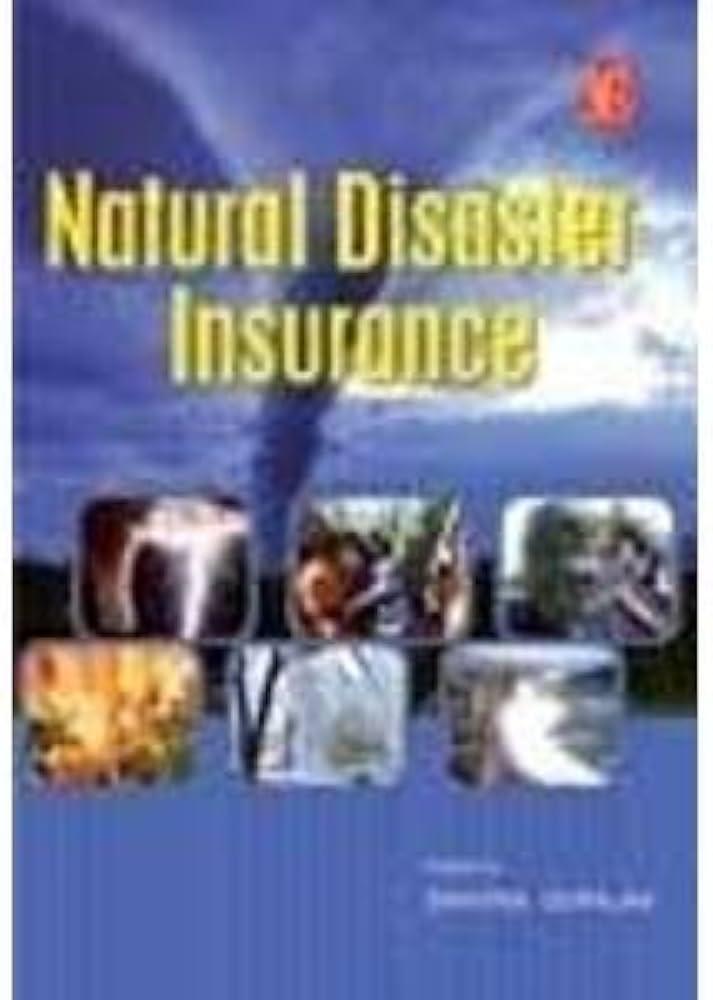 Key Types of Coverage to Consider for Natural Disasters