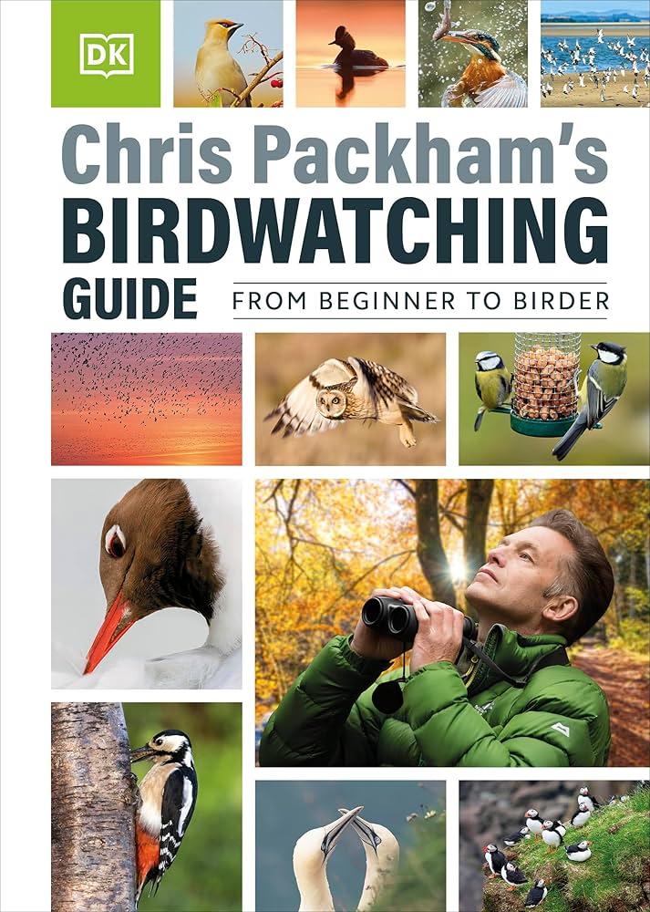 Understanding the Basics of Birdwatching and Its Appeal