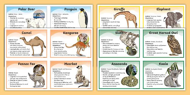 The Unseen Ramifications: How Wildlife Adaptations Reflect Climate Change