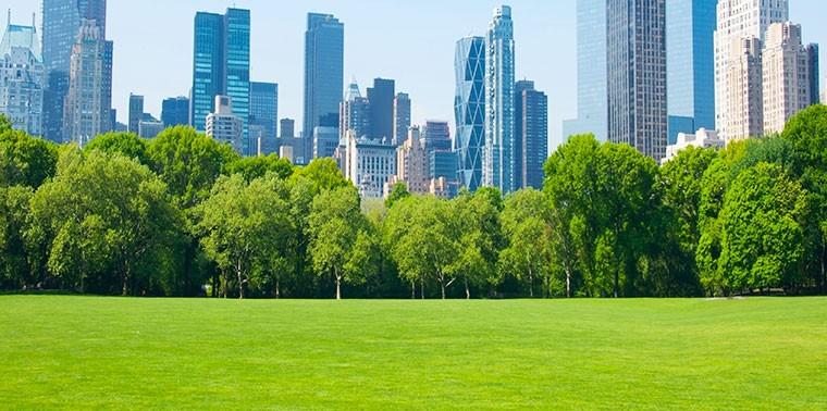 The Disappearing Green Spaces: Understanding Urbanizations Footprint