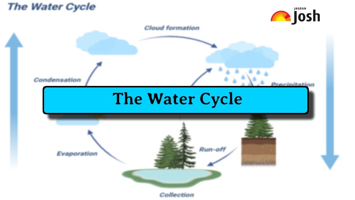 Exploring the Stages of the Water Cycle and Their Interconnections