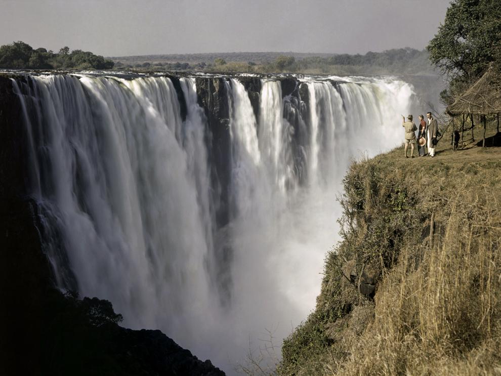 Exploring the Unique Ecosystems That Flourish Around Waterfalls