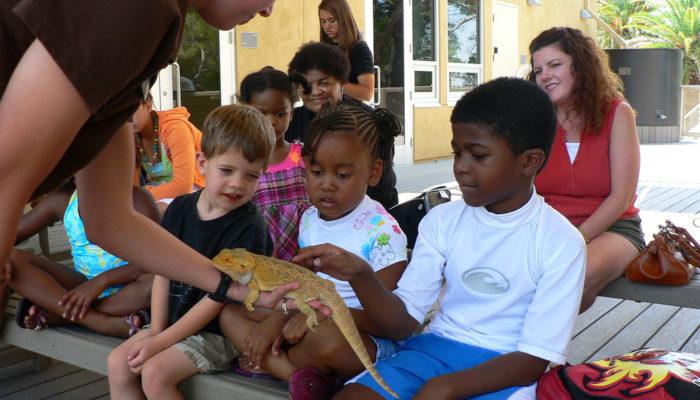 Evaluating the Educational Benefits of Zoos for Conservation Awareness