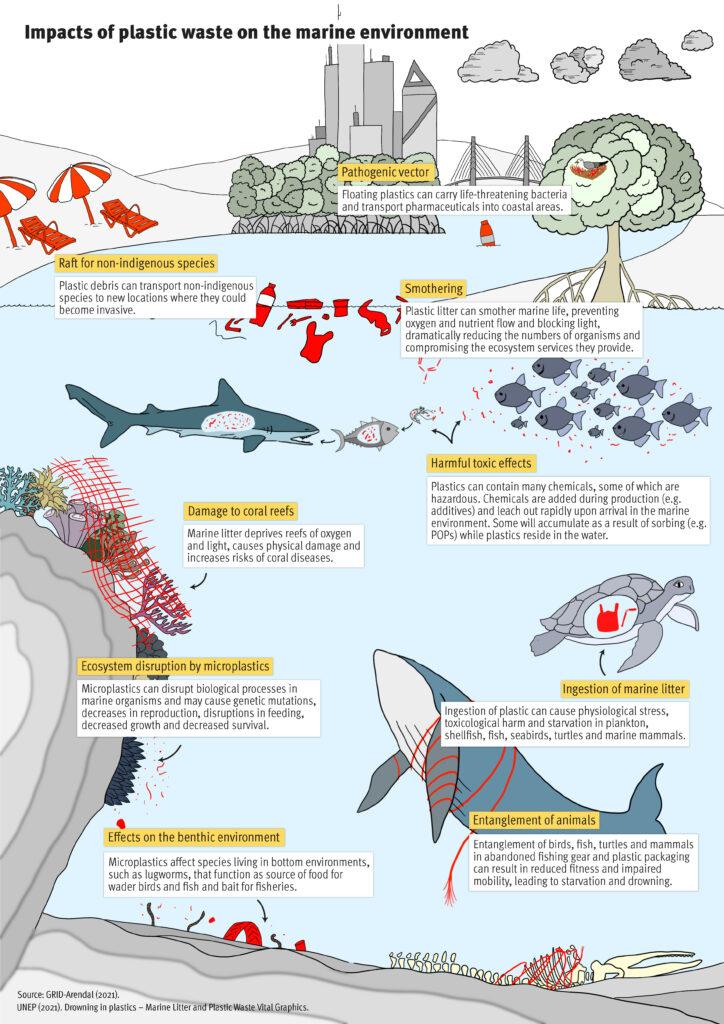 Exploring the Connection Between Pollution and Biodiversity Loss