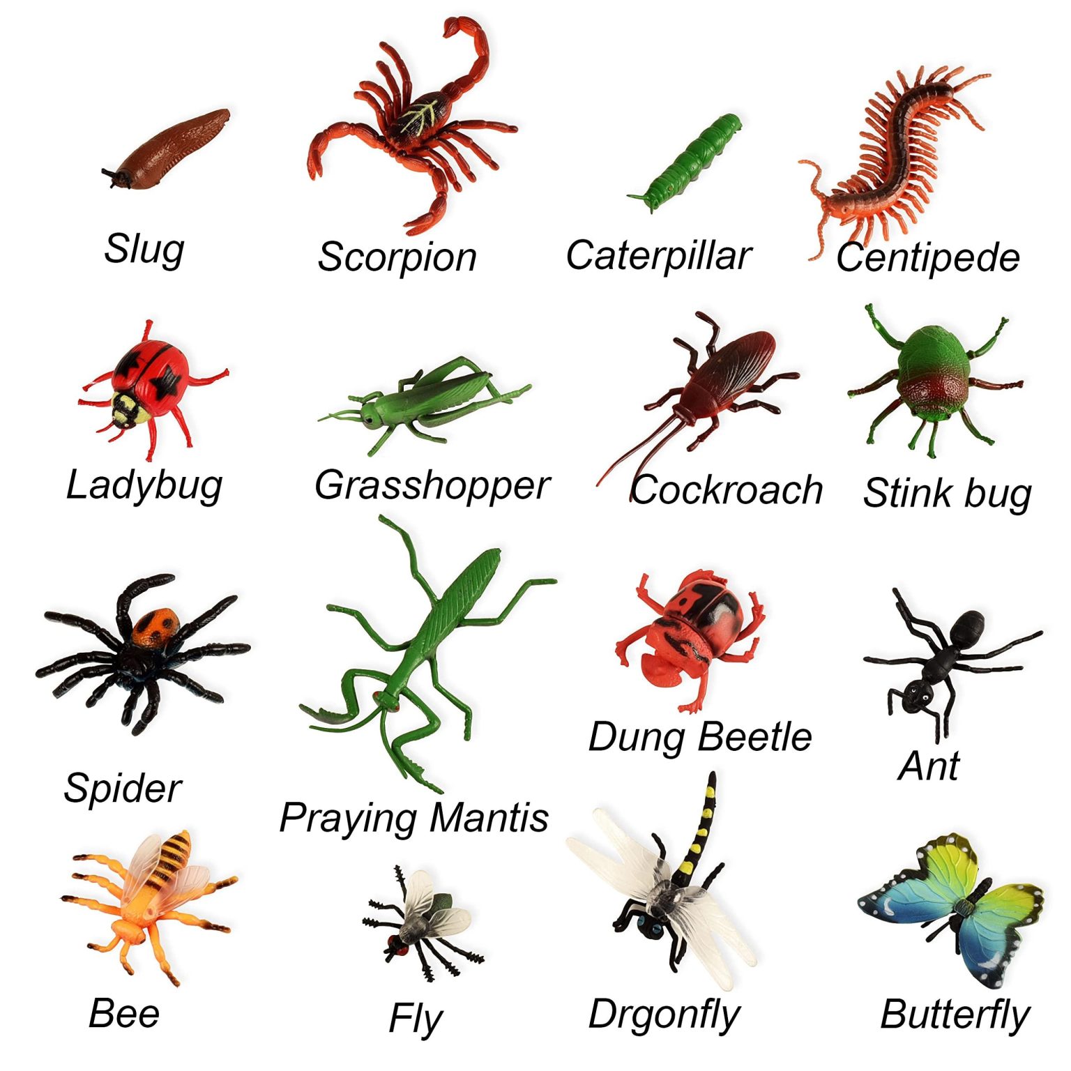 Insects: Nature’s Tiny Architects of Ecosystem Balance Insects: Nature’s Tiny Architects of Ecosystem Balance