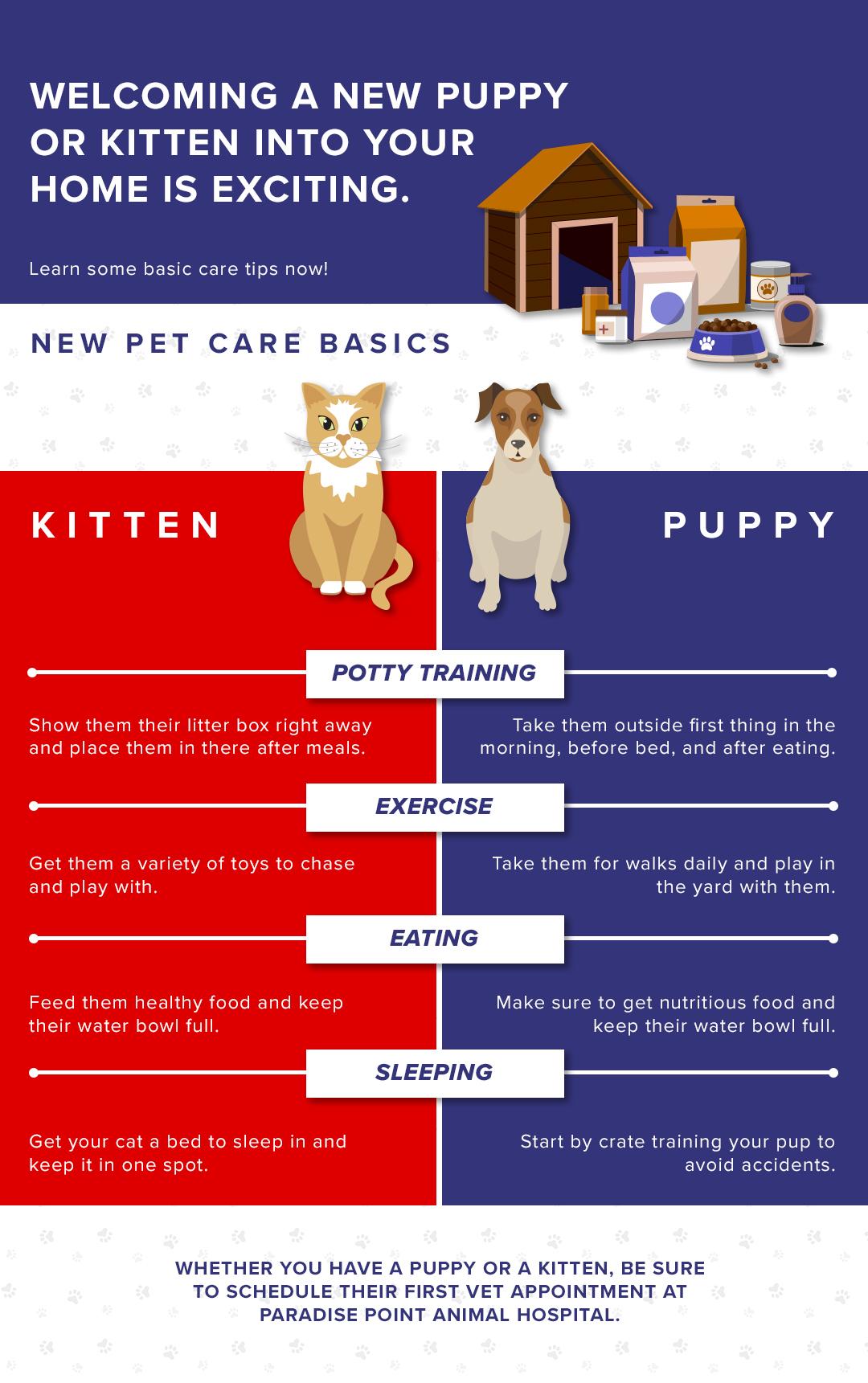 Understanding Your New Pets Needs