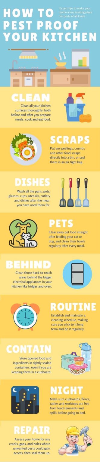 Effective Strategies to Prevent Pests in Your Kitchen Effective Strategies to Prevent Pests in Your Kitchen