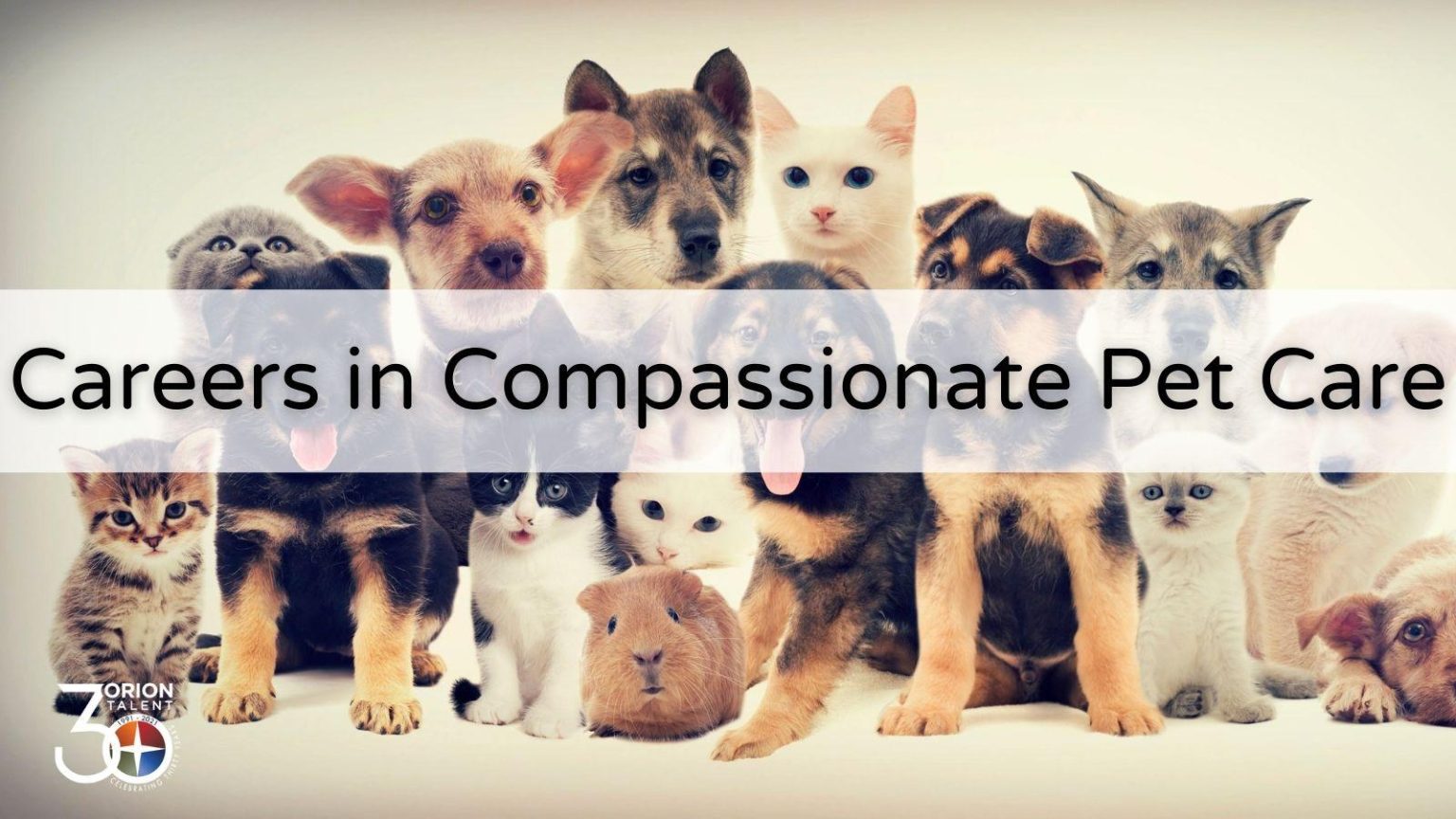 Journey Through the Essentials of Compassionate Pet Care Journey Through the Essentials of Compassionate Pet Care