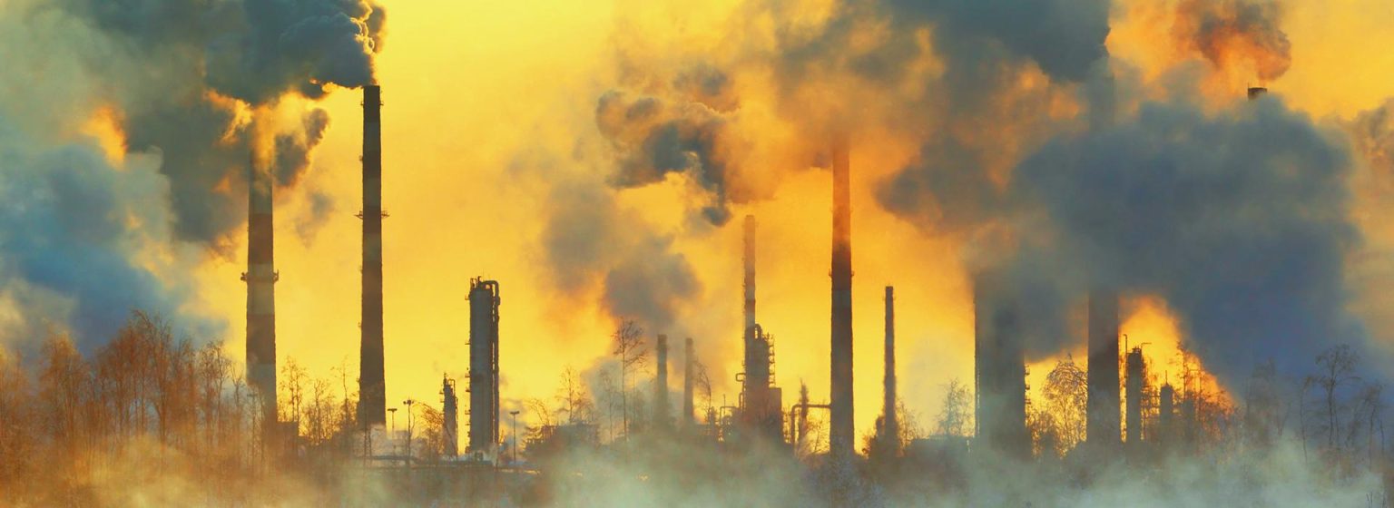 Nature’s Silent Struggle: Unraveling Pollution’s Impact Nature’s Silent Struggle: Unraveling Pollution’s Impact