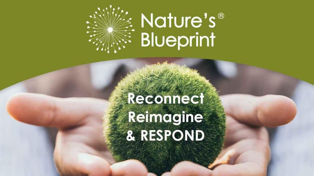 Nature’s Blueprint: How Plants Master Environmental Adaptation Nature’s Blueprint: How Plants Master Environmental Adaptation