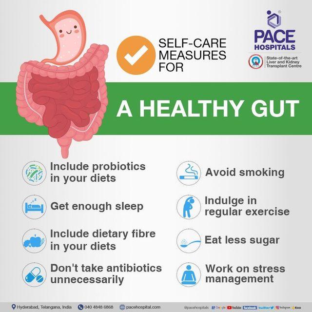 The Essential Role of Gut Health in Immune Function