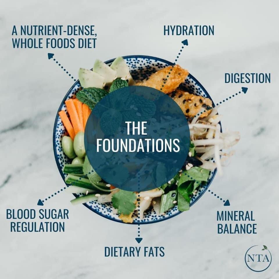 Nutritional Foundations for Longevity and Wellness