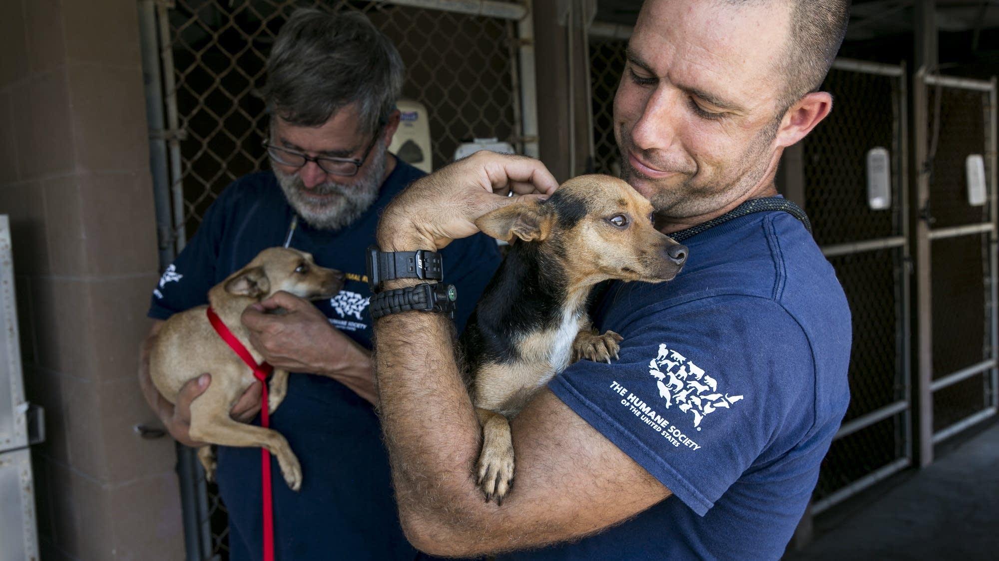 Unbreakable Bonds: How Rescued Animals Transform Lives