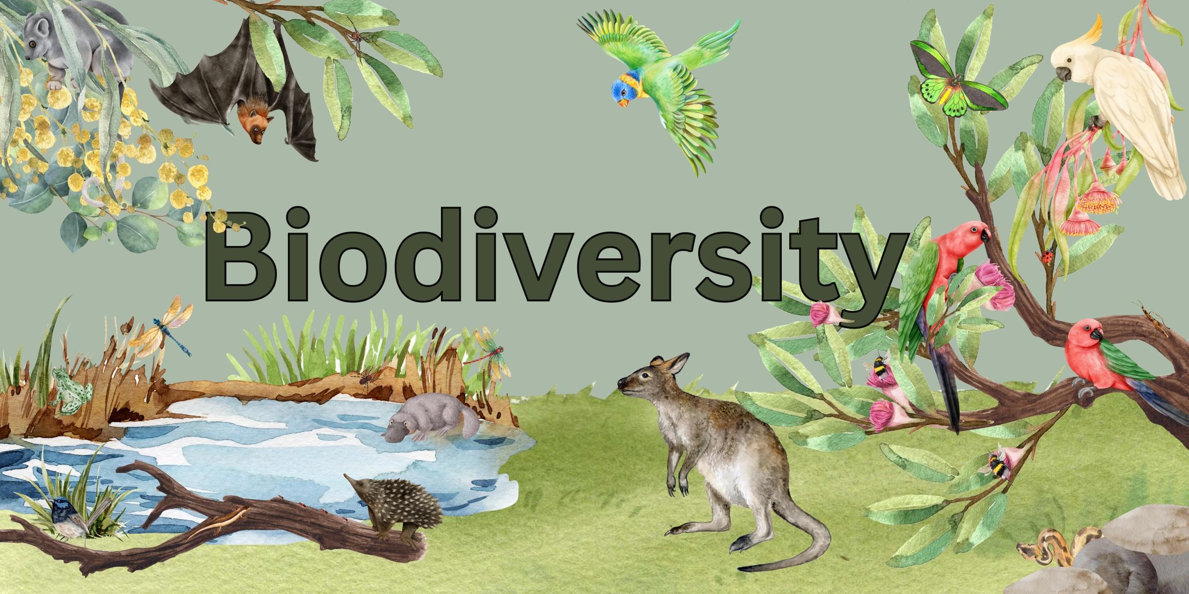 Biodiversity Along the Banks: How Rivers Foster Unique Ecosystems