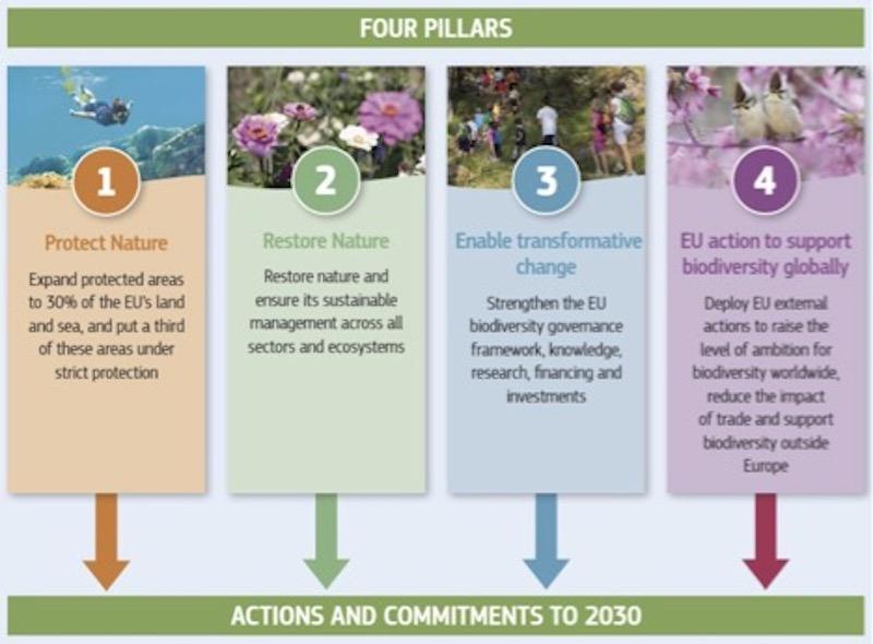 Strategies for Enhancing Biodiversity through Park Management