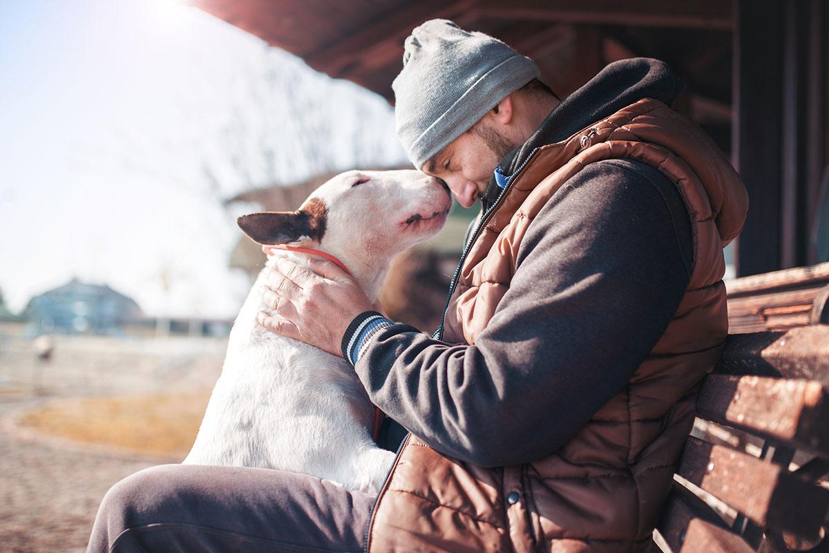 The Bond Between Humans and Animals in Therapeutic Settings