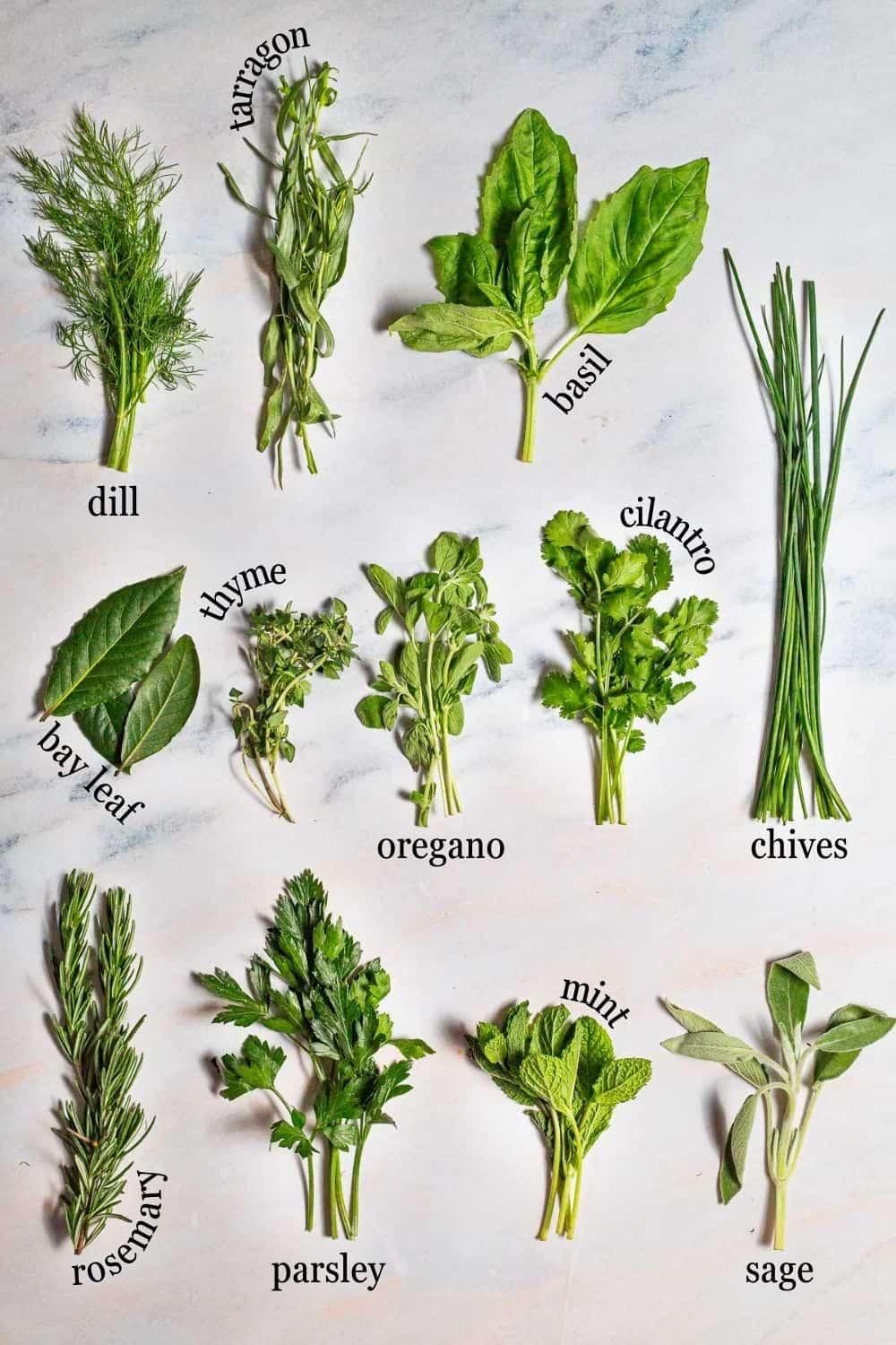 Choosing ​the Right ​Herbs for Your Kitchen Garden