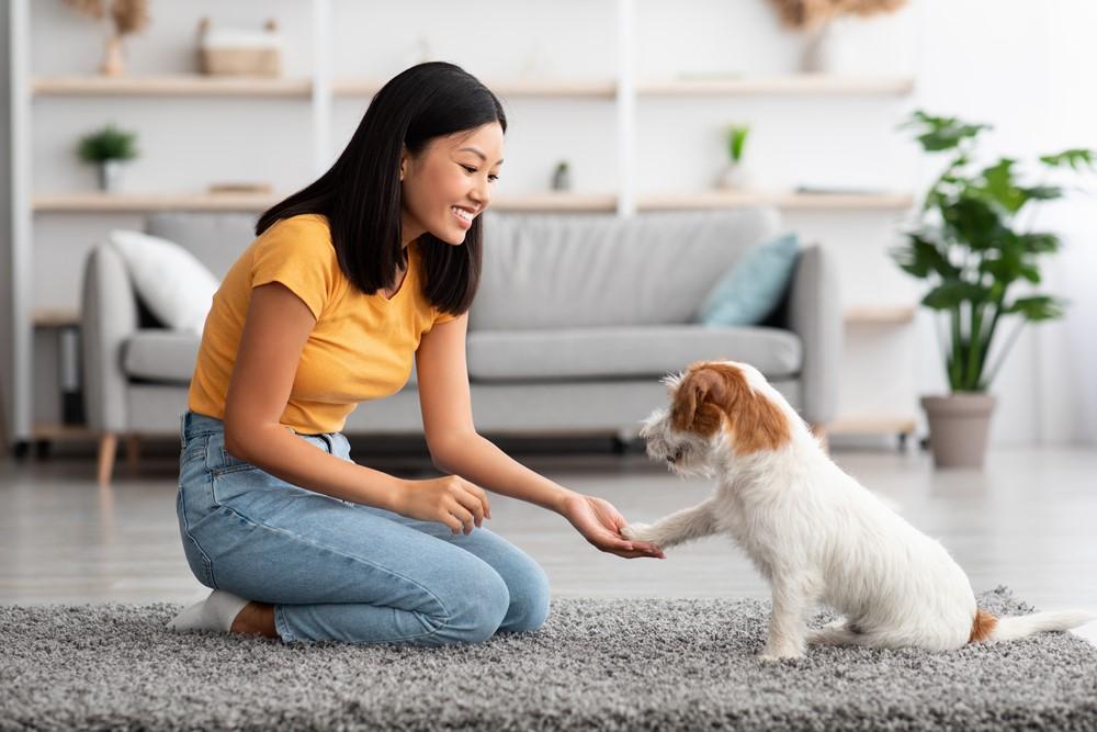 Choosing the Right Pet for Your Lifestyle and Environment