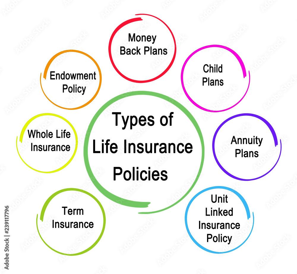 Evaluating Coverage Options: Finding the Right Policies for Your Needs