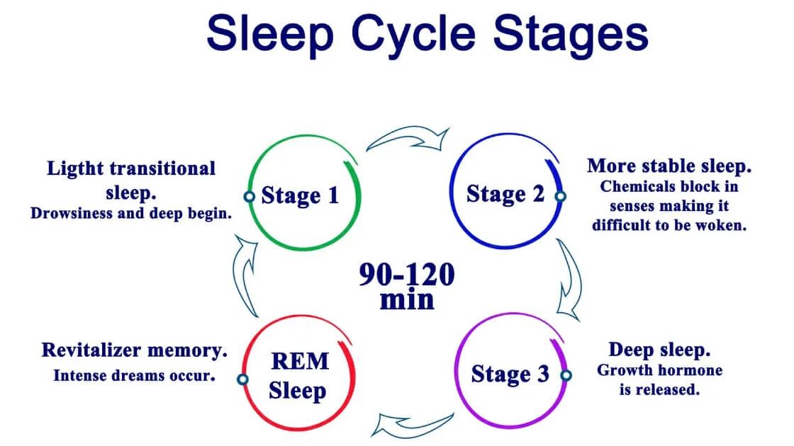 Understanding Sleep Cycles and Their Impact on Restorative Sleep