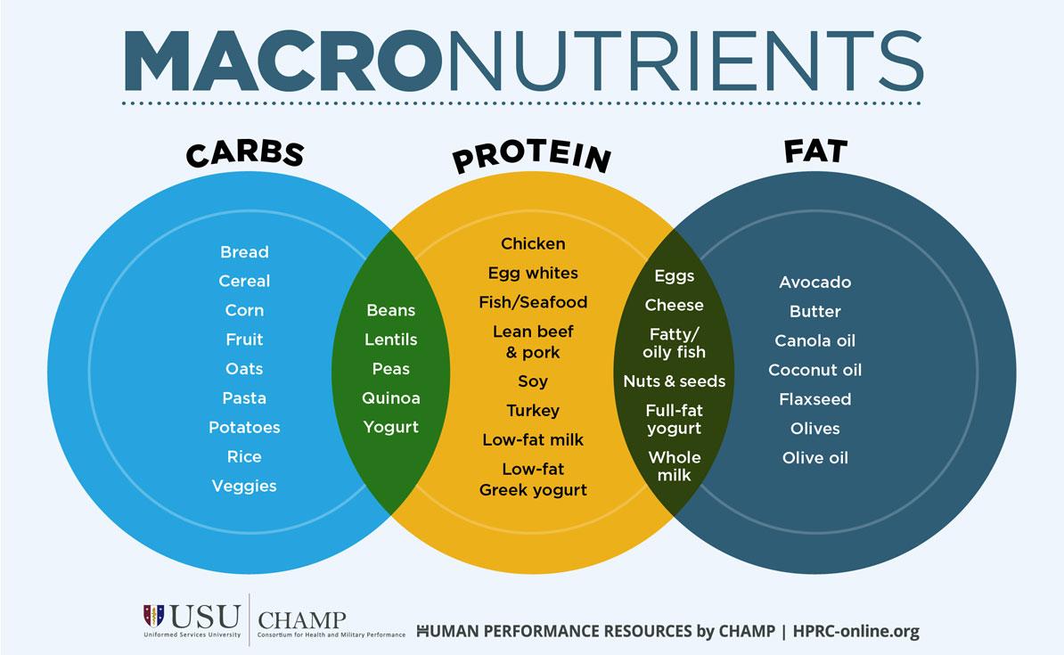 Understanding Macronutrients for Optimal Health