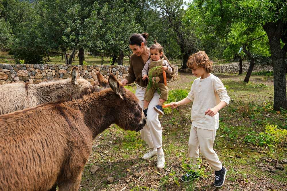 The Impact of Animal Sanctuaries on Conservation Efforts and Biodiversity