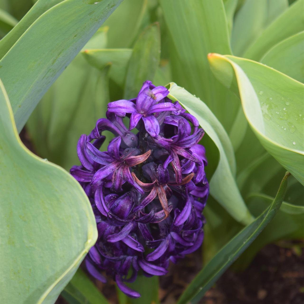 Discovering Hidden Gems in Nature