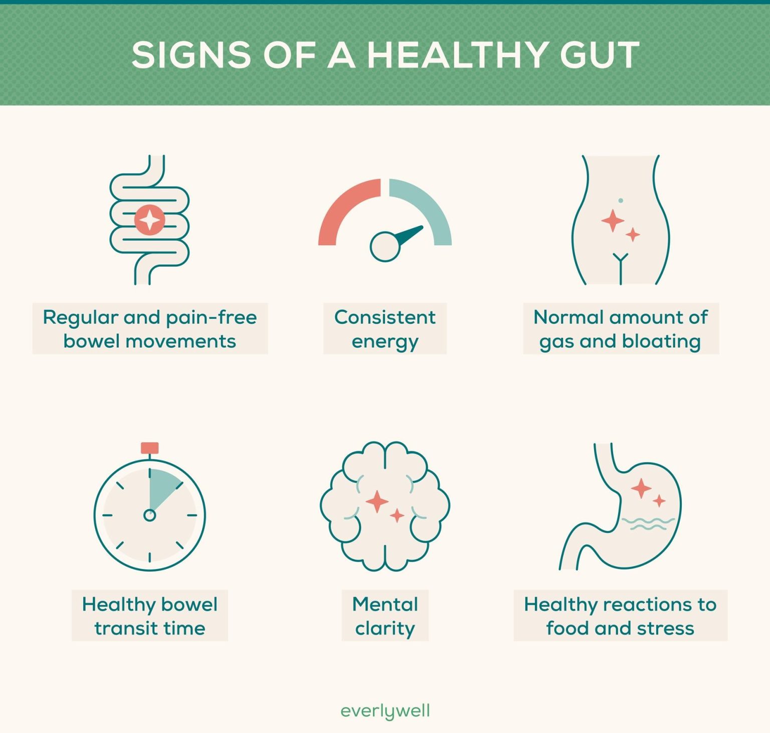 The Critical Link Between Gut Health and Overall Wellness The Critical Link Between Gut Health and Overall Wellness